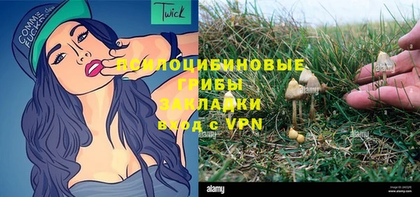 mdpv Белокуриха