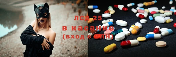 ГАЛЛЮЦИНОГЕННЫЕ ГРИБЫ Беломорск