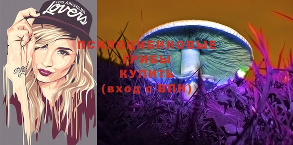 ГАЛЛЮЦИНОГЕННЫЕ ГРИБЫ Беломорск