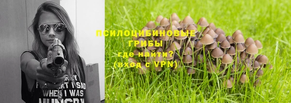 mdpv Белокуриха