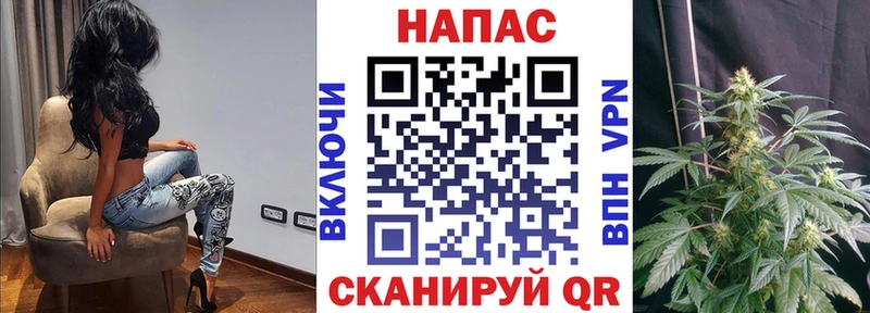 Конопля ГИДРОПОН  Воскресенск 